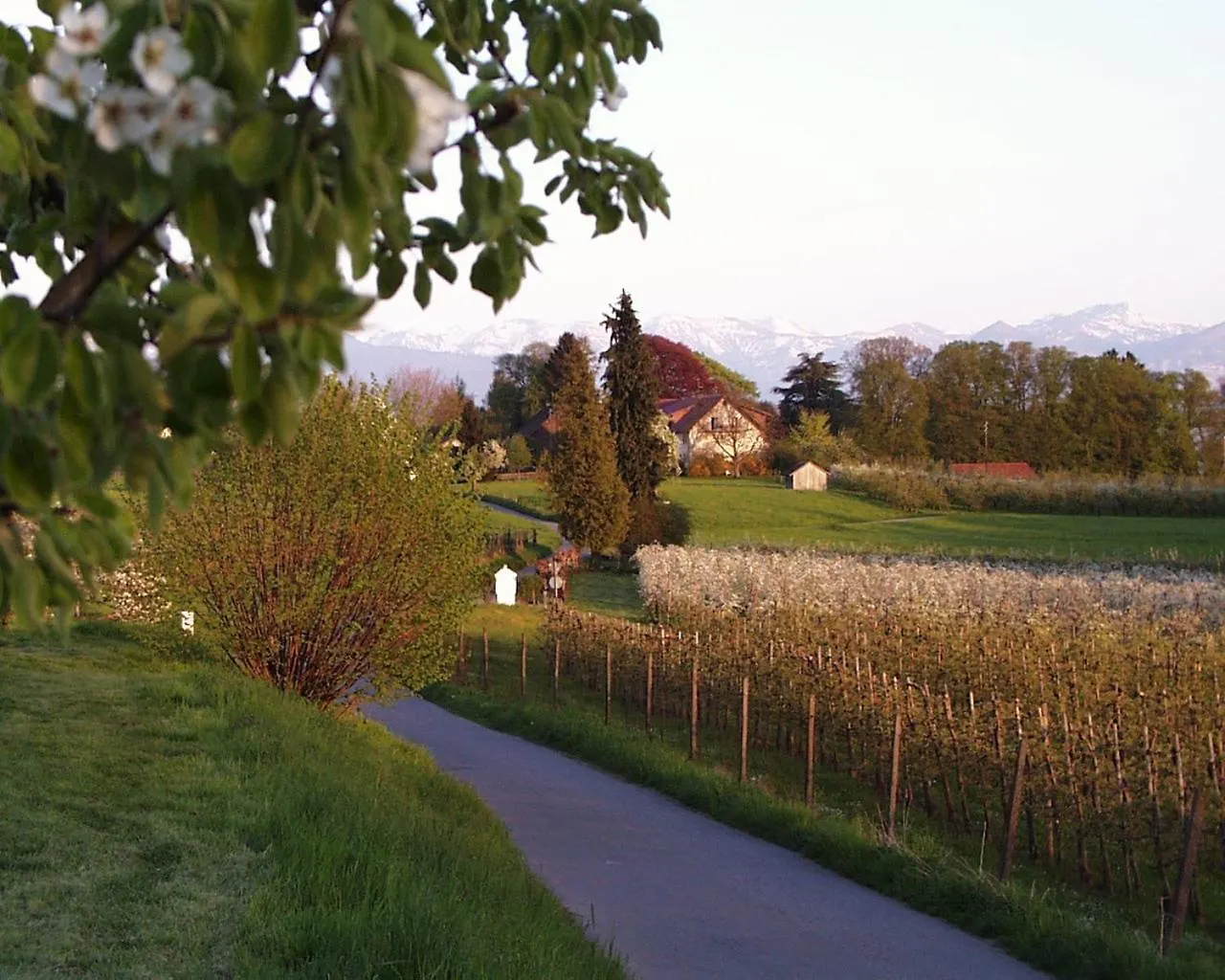 Baumanns Ferienhof Am See Bettnau Německo
