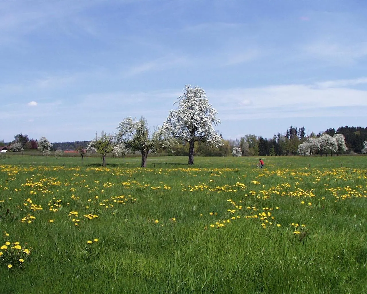 Apartmán Baumanns Ferienhof Am See Bettnau Německo